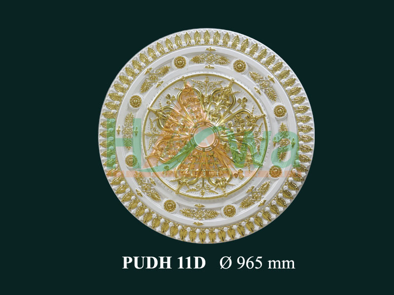 DH-PUDH 11D