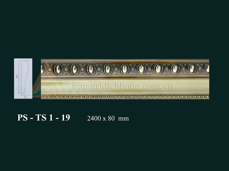 PS - TS 1 - 19