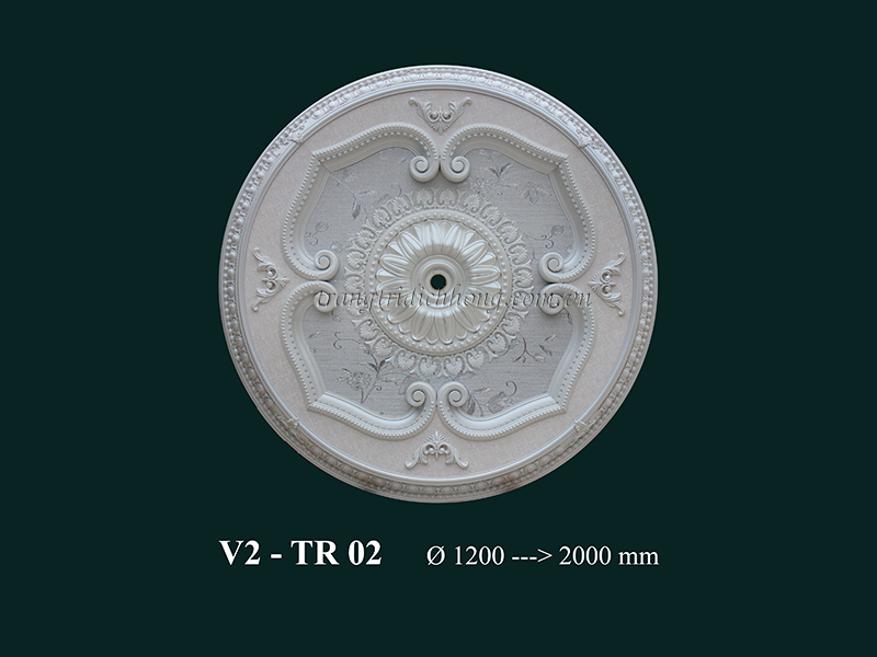 V2 - TR 02