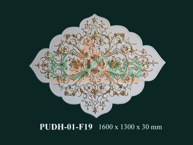 PUDH-01-F19D
