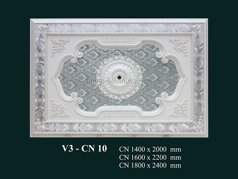 V3 - CN 10