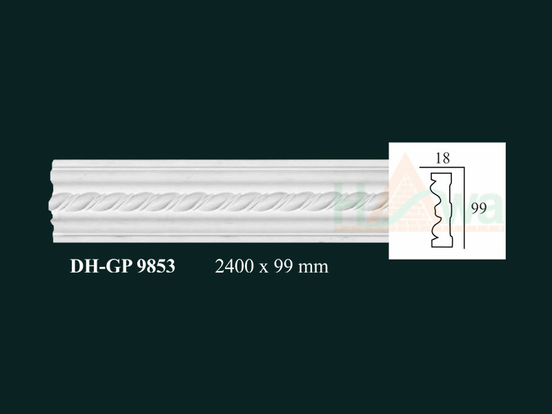 DH-GP 9853 DHGP9853