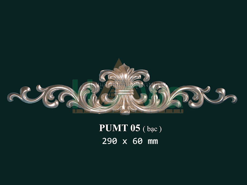 PUMT05 - bac