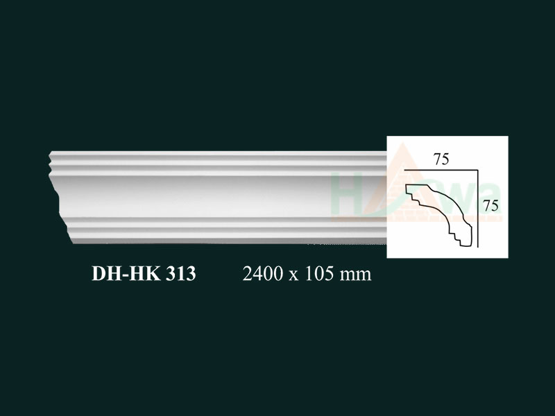 DH-HK 313 DHHK313