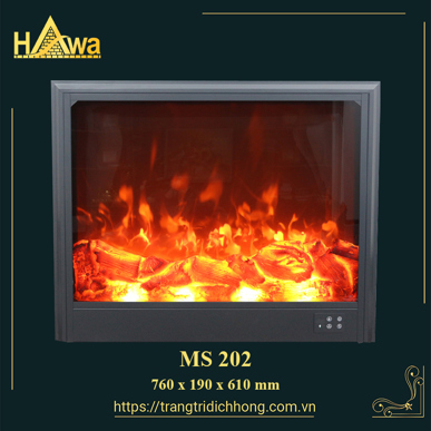 MS 202