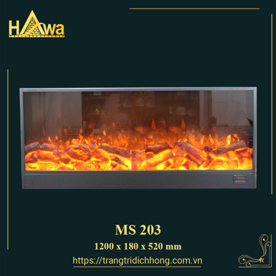 MS 203