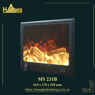 MS 231B