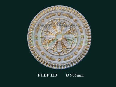 DH-PUDP 11D