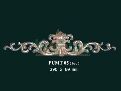 PUMT05 - bac