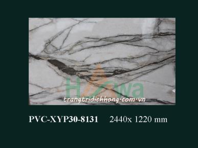 PVC-XYP30-8131