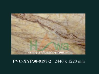 PVC-XYP30-8197-2